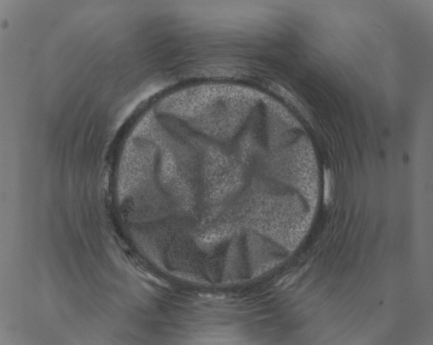 X0000087380723200705181241