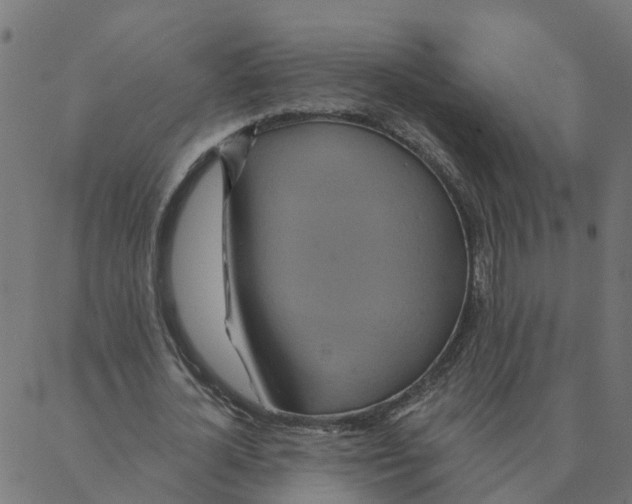 X0000087380724200705181241