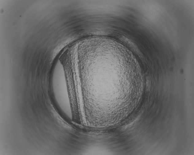 X0000087380725200705181241