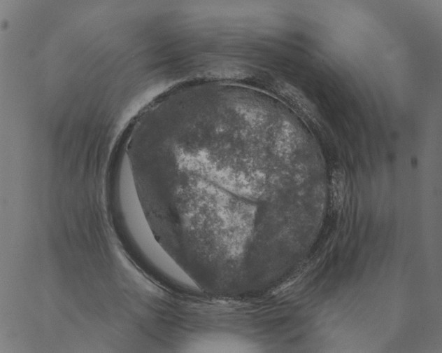 X0000087380726200705181241