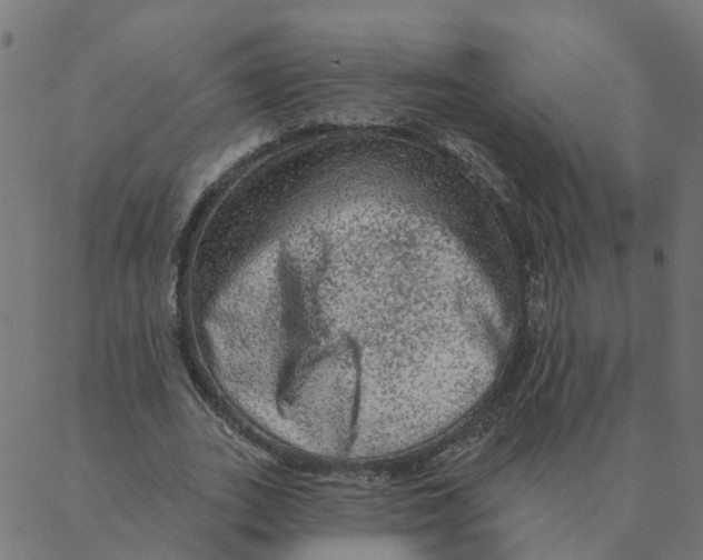 X0000087380727200705181241