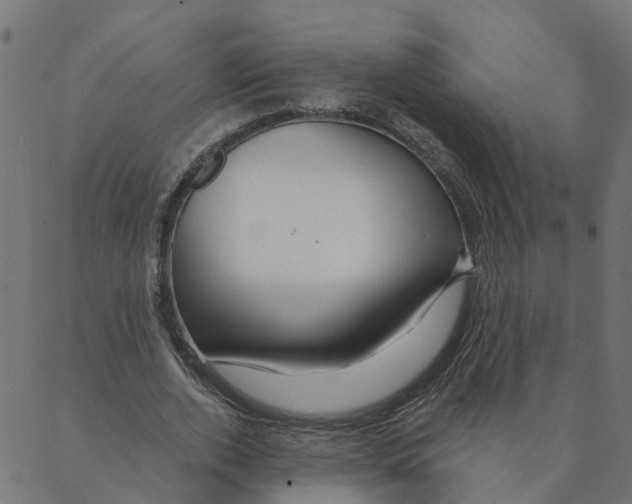 X0000087380728200705181241