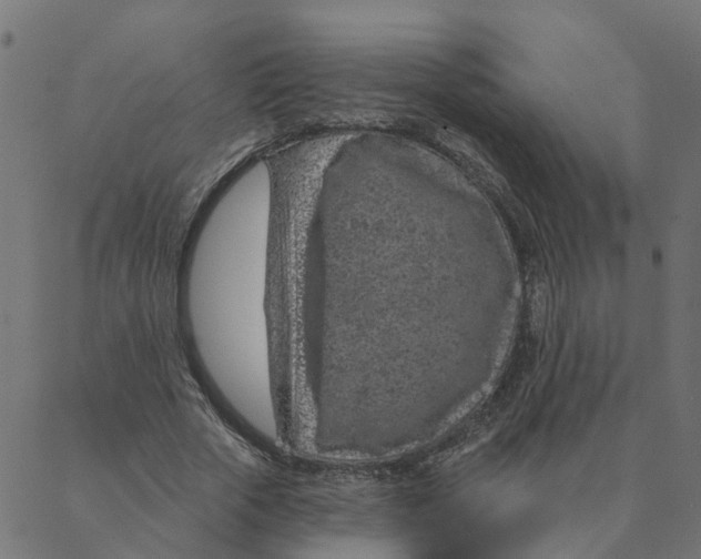 X0000087380729200705181241