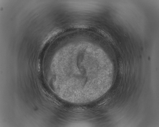 X0000087380731200705181241