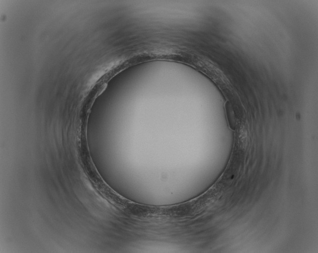 X0000087380732200705181241