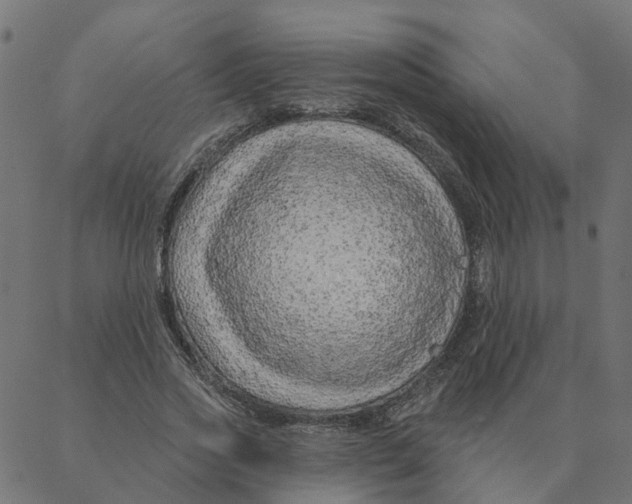 X0000087380733200705181241