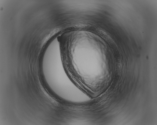 X0000087380734200705181241