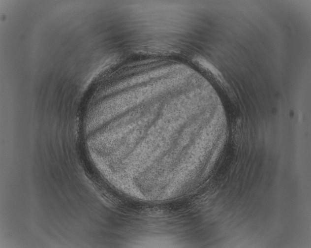 X0000087380735200705181241