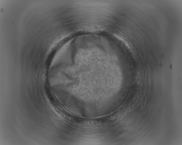 X0000087380736200705181241