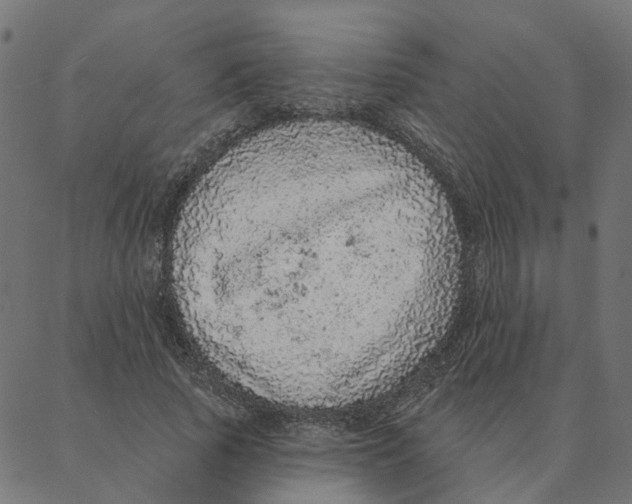 X0000087380737200705181241