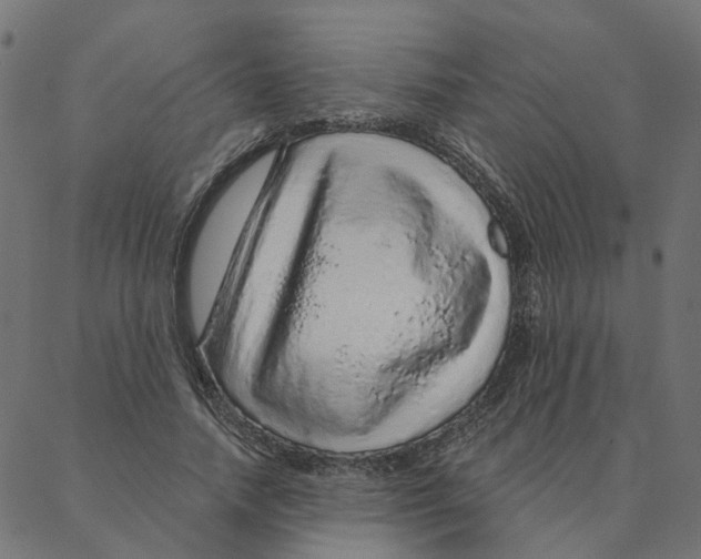 X0000087380738200705181242