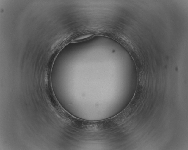 X0000087380740200705181242