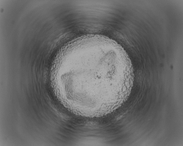 X0000087380741200705181242