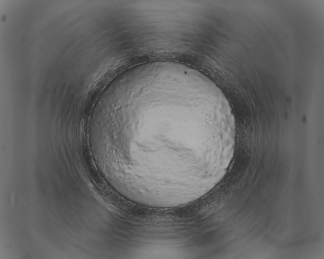 X0000087380742200705181242