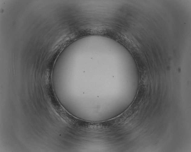 X0000087380744200705181242