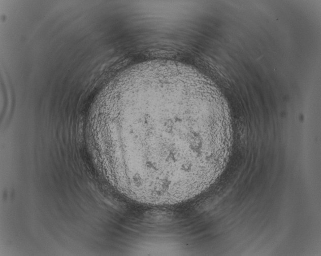 X0000087380745200705181242