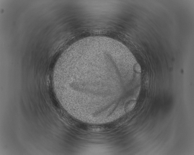 X0000087380746200705181242