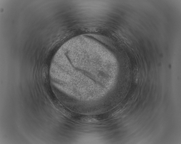 X0000087380747200705181242