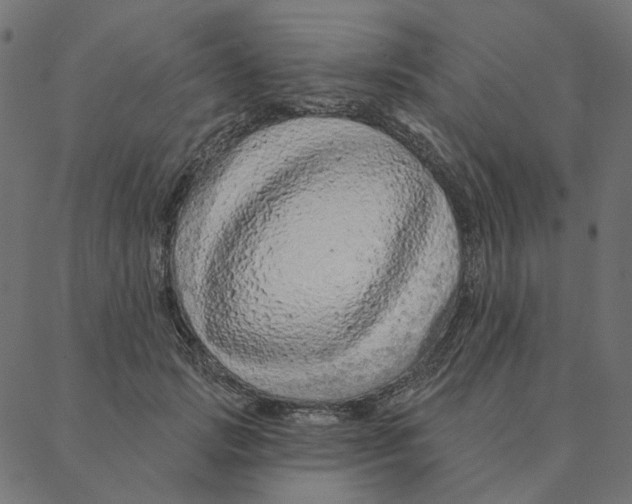 X0000087380749200705181242