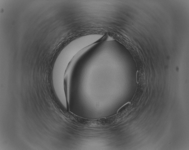 X0000087380750200705181242