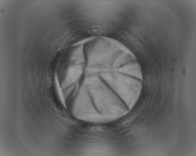 X0000087380751200705181242