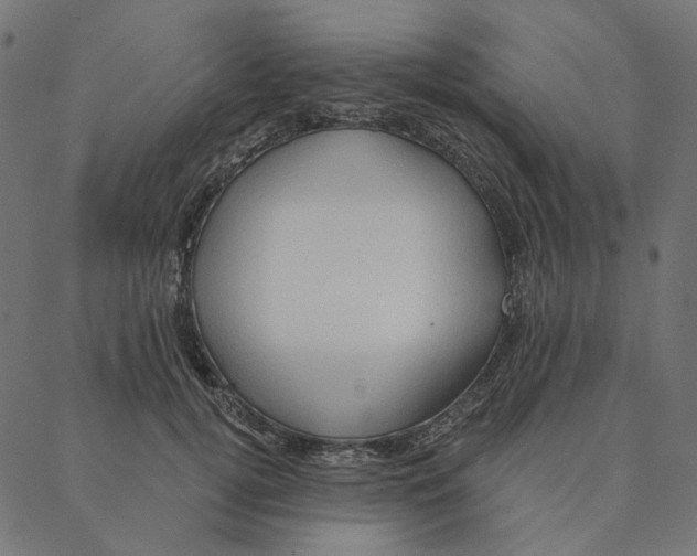 X0000087380752200705181242