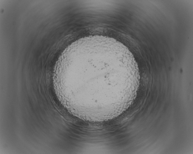 X0000087380753200705181242