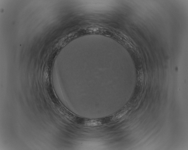 X0000087380754200705181242