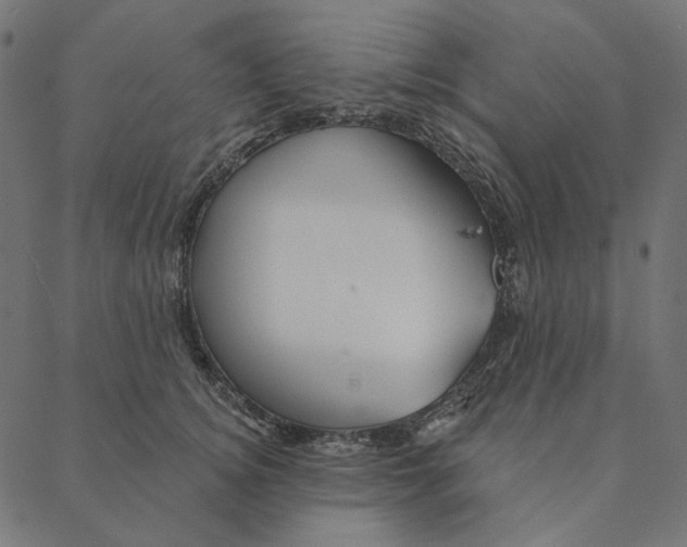 X0000087380756200705181242