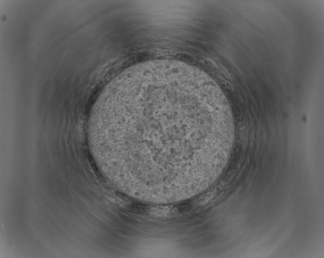 X0000087380757200705181242