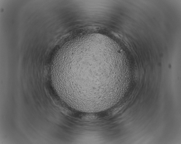 X0000087380759200705181242