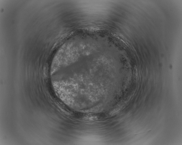 X0000087380760200705181242