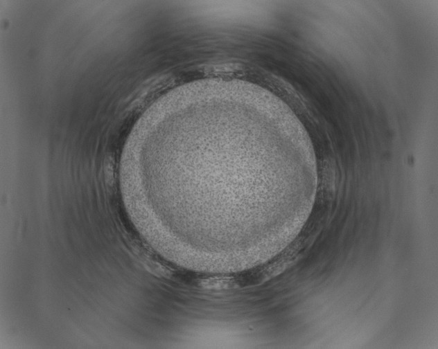 X0000087380761200705181242