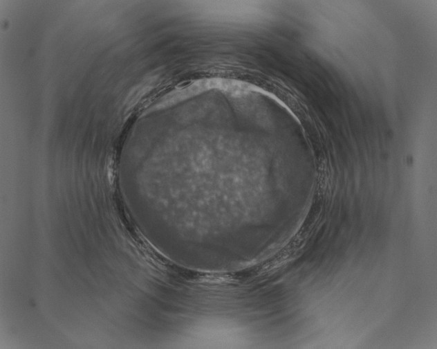 X0000087380762200705181242