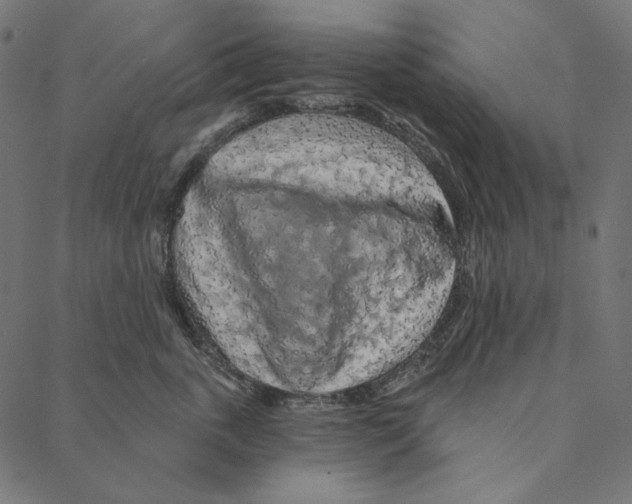 X0000087380763200705181242