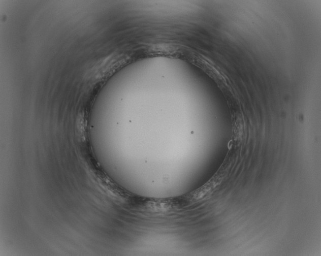 X0000087380764200705181242