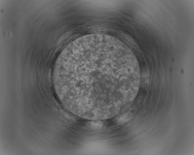 X0000087380765200705181242