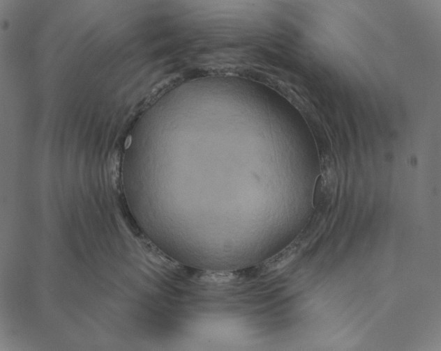 X0000087380767200705181242