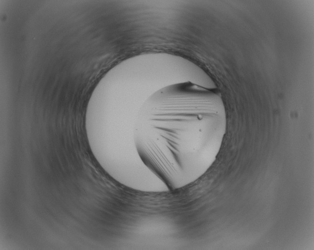 X0000087380768200705181242