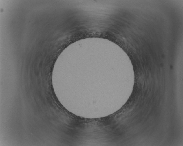 X0000087380769200705181241