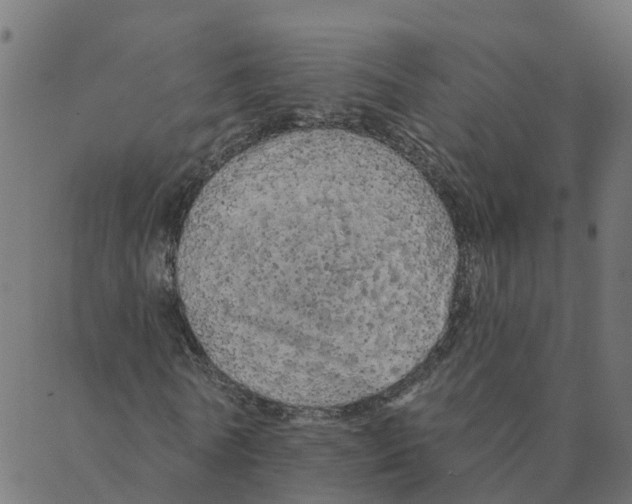 X0000087380770200705181241