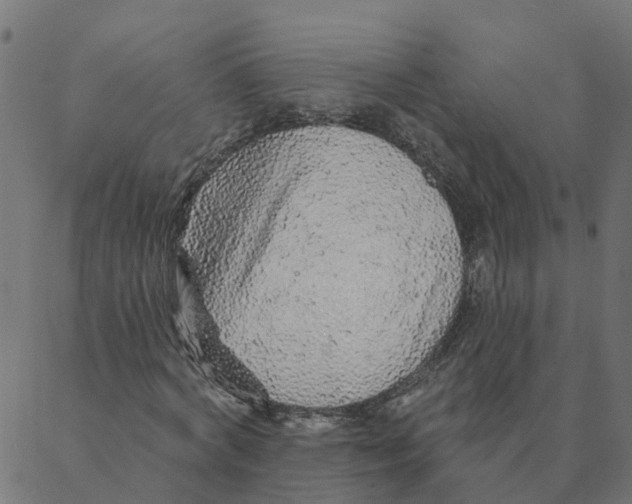 X0000087380772200705181241