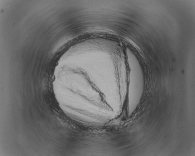 X0000087380775200705181241