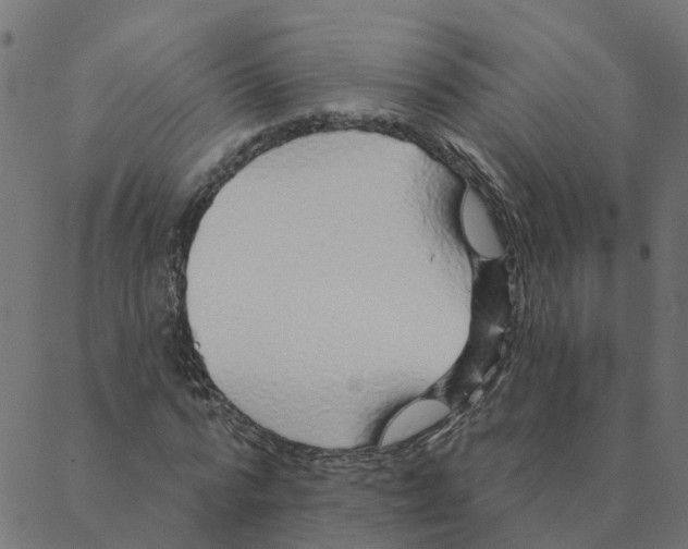 X0000087380776200705181241