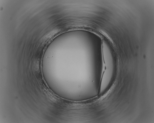 X0000087380777200705181241