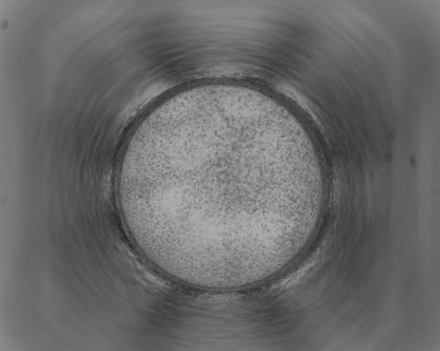 X0000087380778200705181241