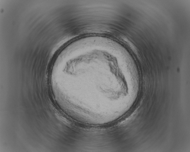 X0000087380779200705181241