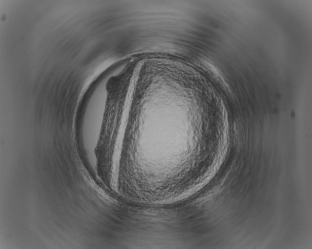 X0000087380780200705181241