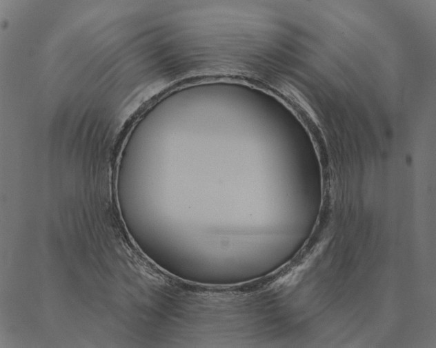 X0000087380781200705181241