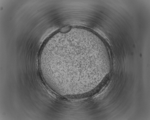 X0000087380782200705181241